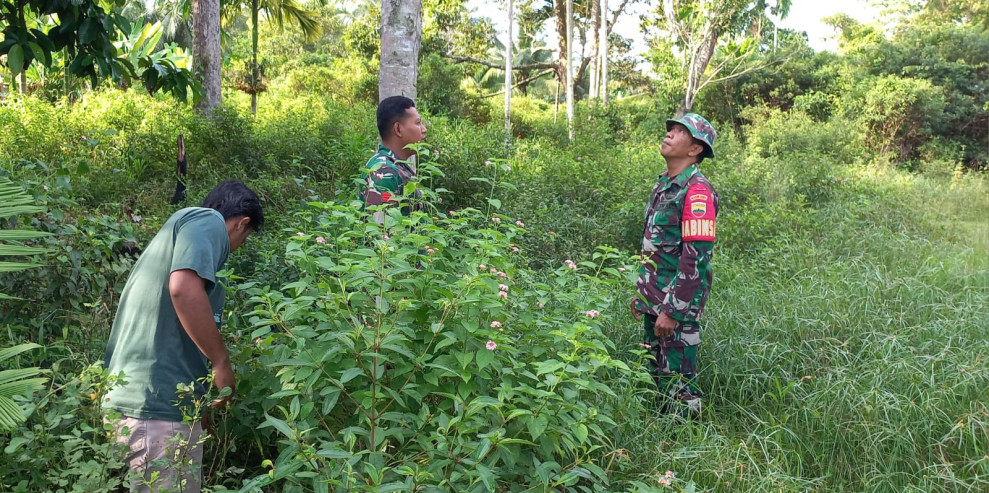 Patroli Rutin Dalam Mencegah Karhutla Oleh Personil Babinsa Koramil 06 Merbau