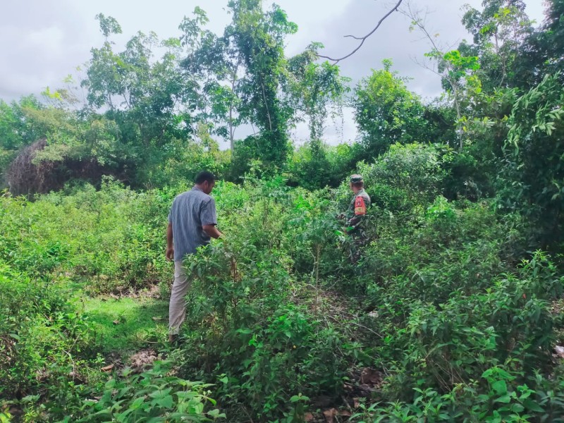 Edukasi Cegah Karhutla, Babinsa Ajak Warga Tingkatkan Kesiapsiagaan