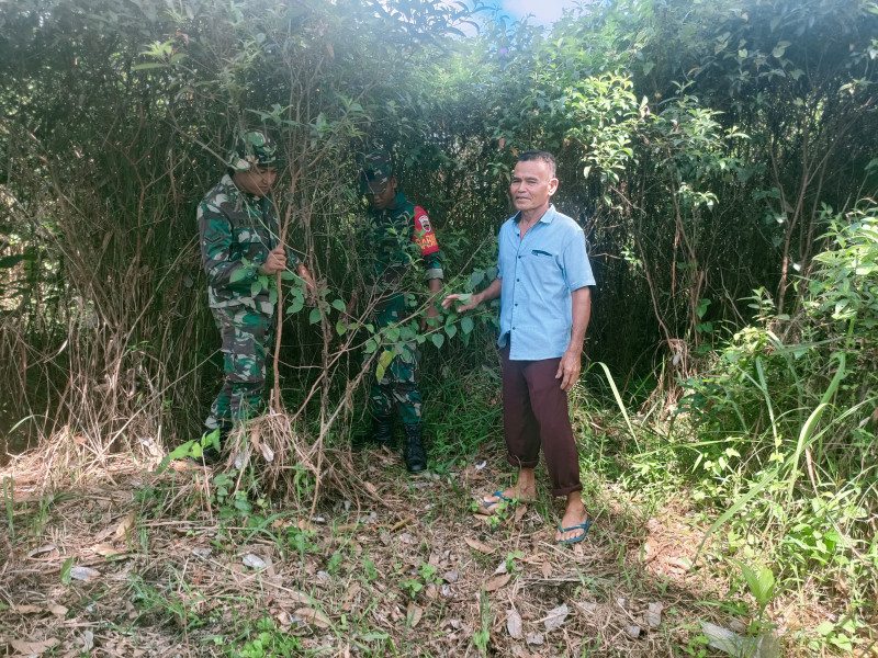 Serda Rian dan Pratu Roihan Lakukan Patroli Karhutla di Lahan Gambut Kering