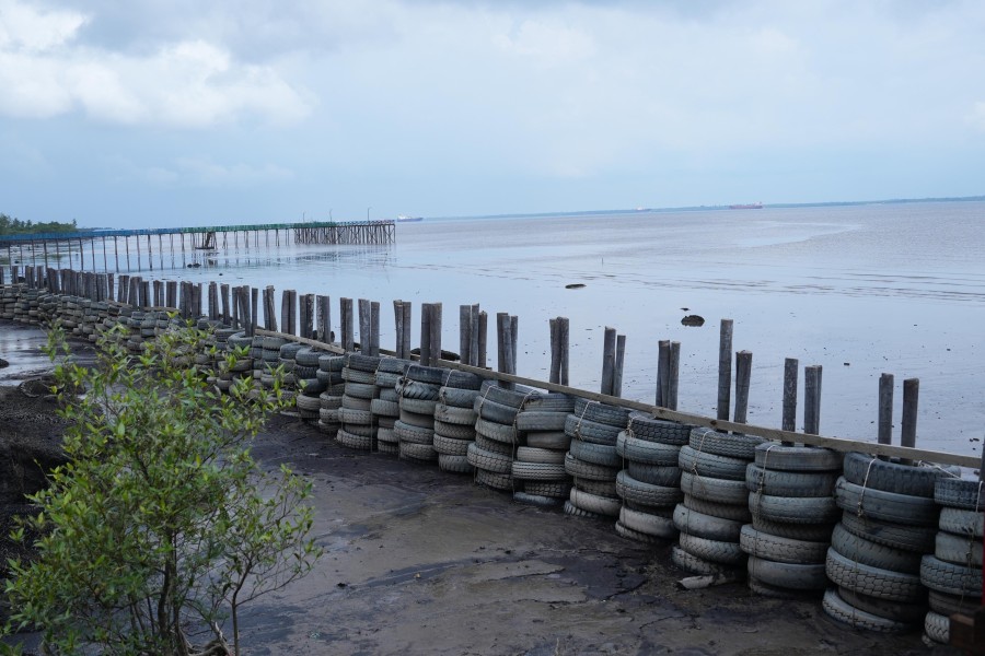 PT KPI Perkuat Ketahanan Masyarakat Pesisir di Kelurahan Mundam Dari Ancaman Abrasi