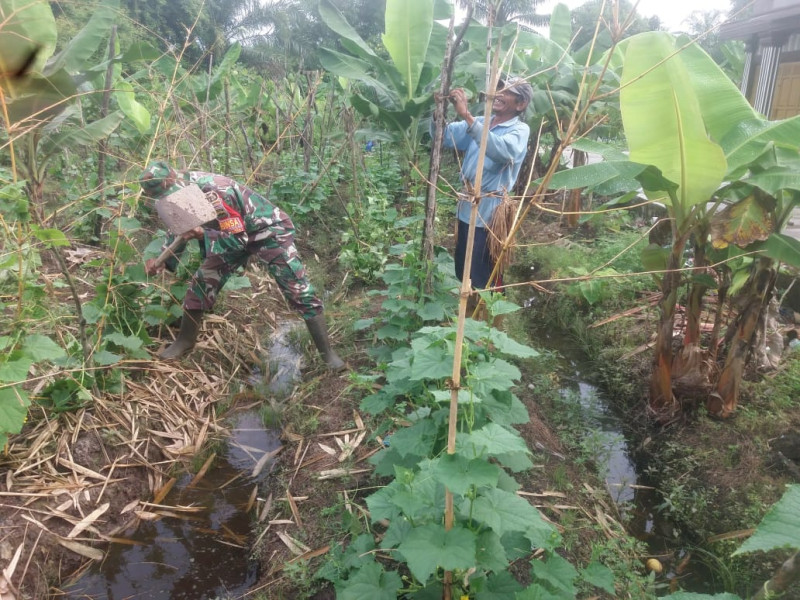 Sertu Nono Berikan Pemahaman Tambahan Kepada Petani Mentimun Terkait Beberapa Hal Ini