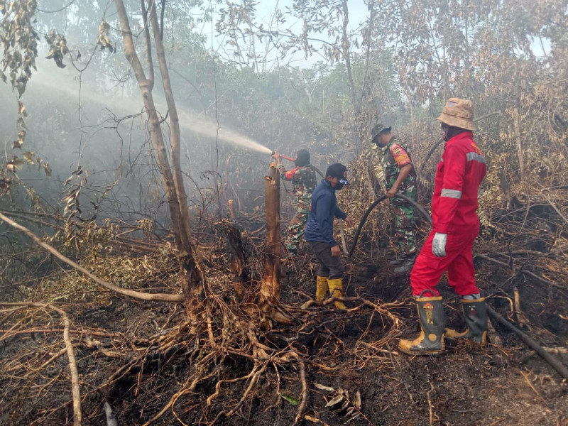 Babinsa Koramil-01 Dumai dan Tim Berhasil Padamkan Kebakaran Lahan di Mekar Sari