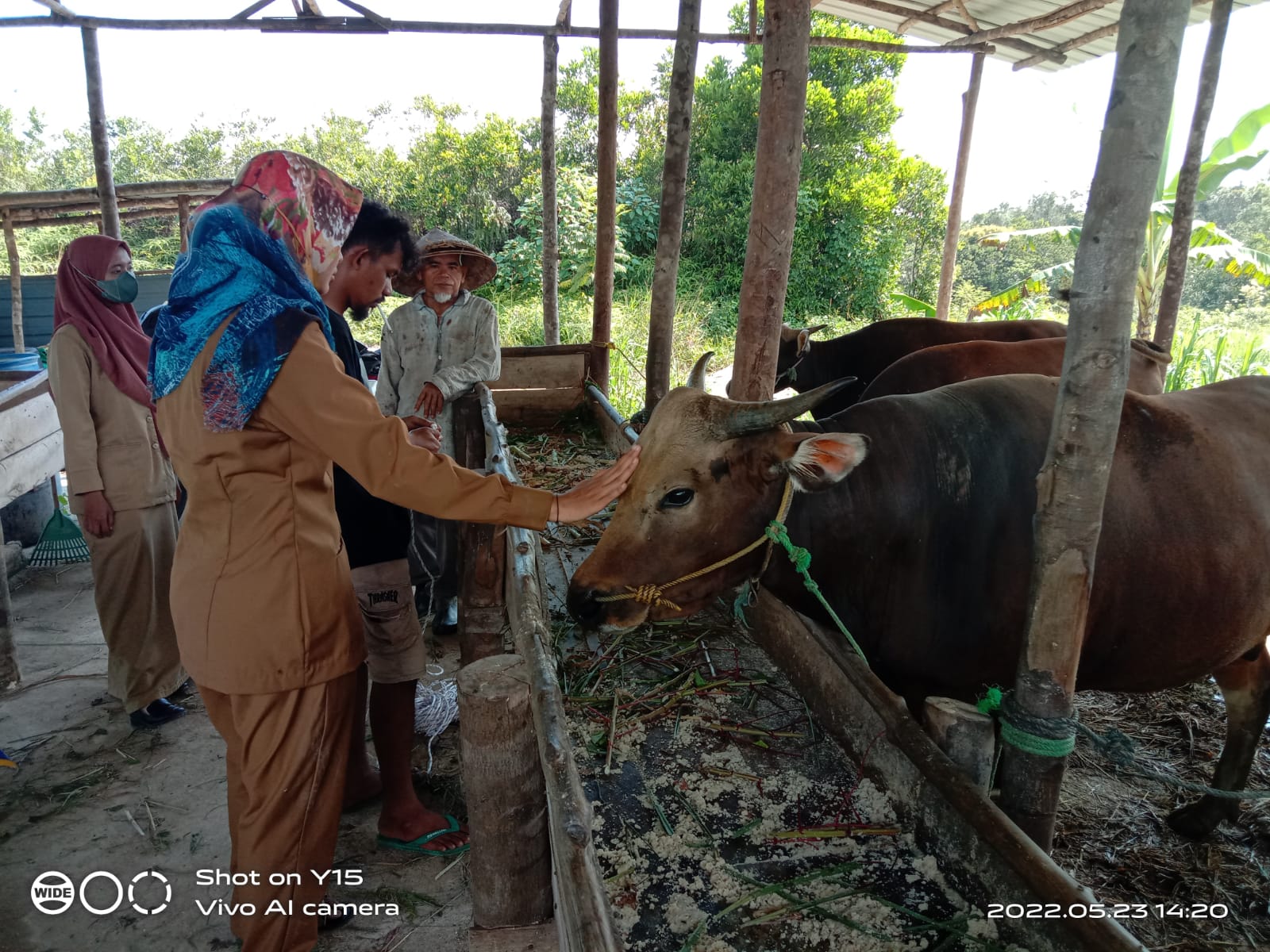 Penanganan Penyakit Mulut dan Kuku pada Hewan Ternak, Butuh Tenaga Kesehatan Hewan