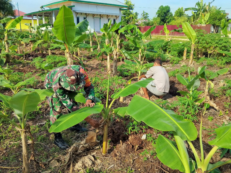 Babinsa Sertu Nono Supriadi Dampingi Warga Manfaatkan Lahan Tidur