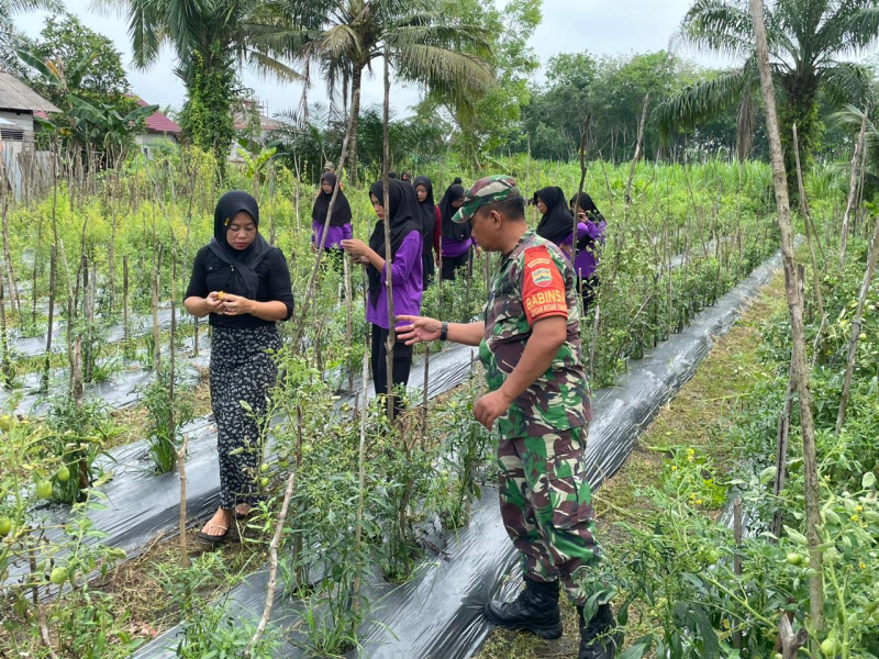 Serka Tomy Mike Ajak Petani Wujudkan Ketahanan Pangan di Kecamatan Bukit Kapur