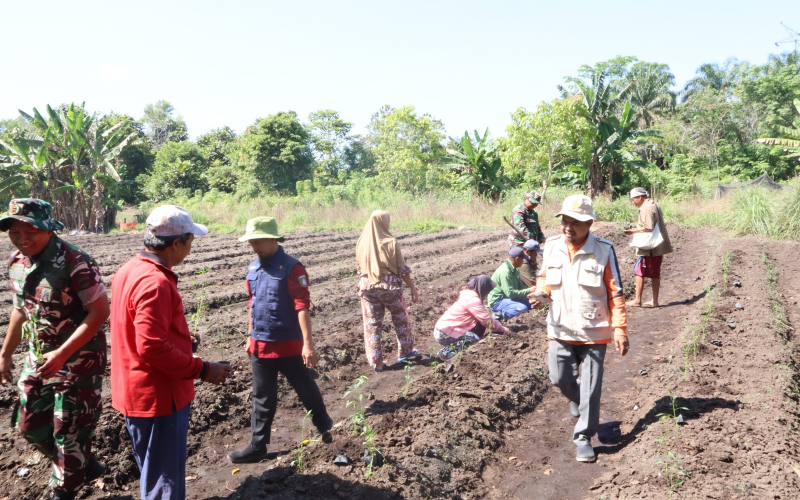 Sentuh Sektor Pertanian, TMMD ke 124 Kodim 0320 Dumai Hadirkan Tim Penyuluh dari DKPP Kota Dumai