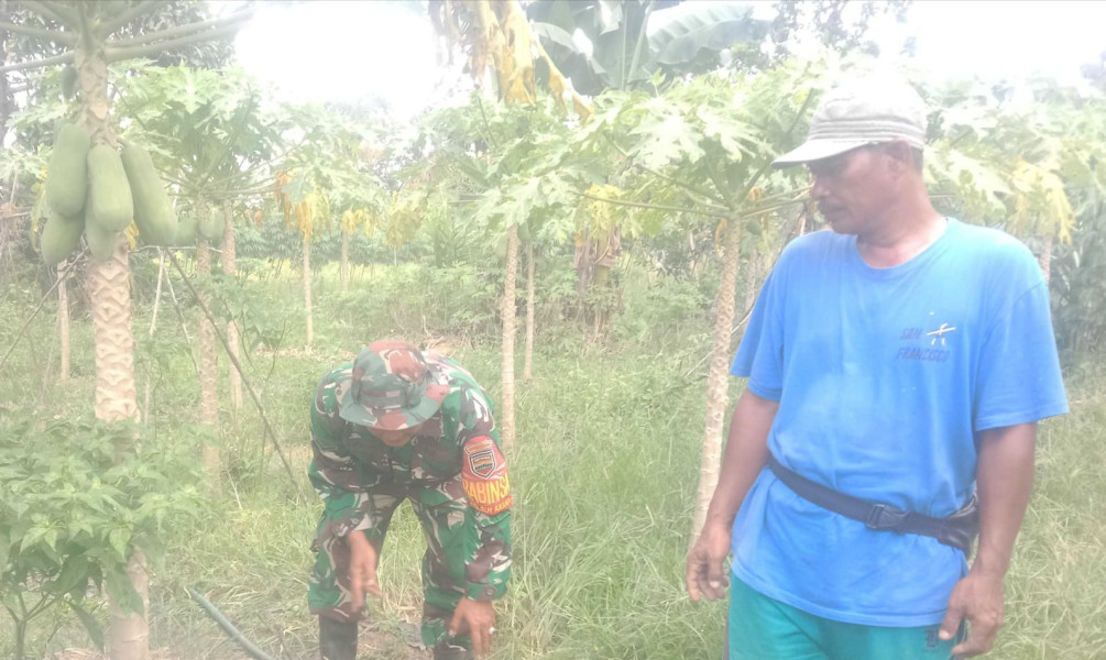 Babinsa Buluh Kasap Patroli Karhutla dan Dampingi Petani di Tanjung Palas