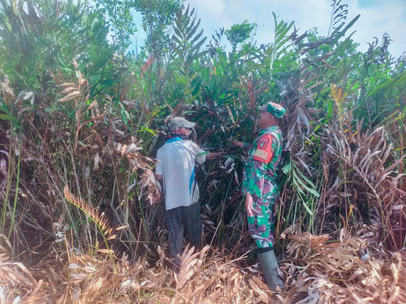 Karhutla Jadi Ancaman, Babinsa Turun Langsung Patroli Lahan Rawan dan Ingatkan Warga Jangan Membakar