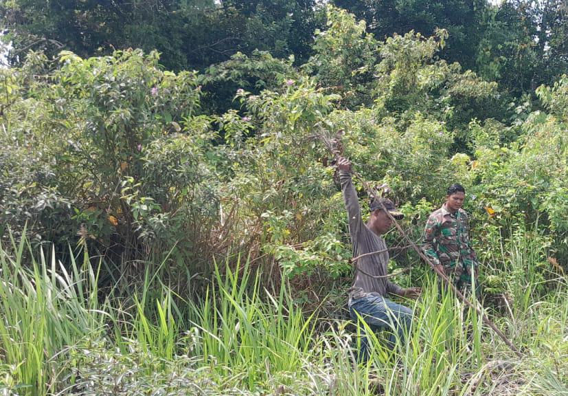 Rutin Cek Lahan Gambut Kering, Babinsa Tegaskan Komitmen Cegah Karhutla di Meranti