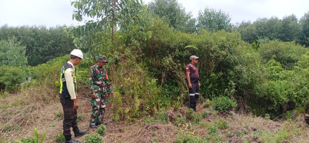 Tidak Ditemukan Titik Api, Patroli Babinsa di Merbau Berjalan Aman