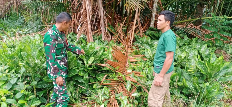 Babinsa Cek Sumber Air Antisipasi Karhutla di Desa Lukit