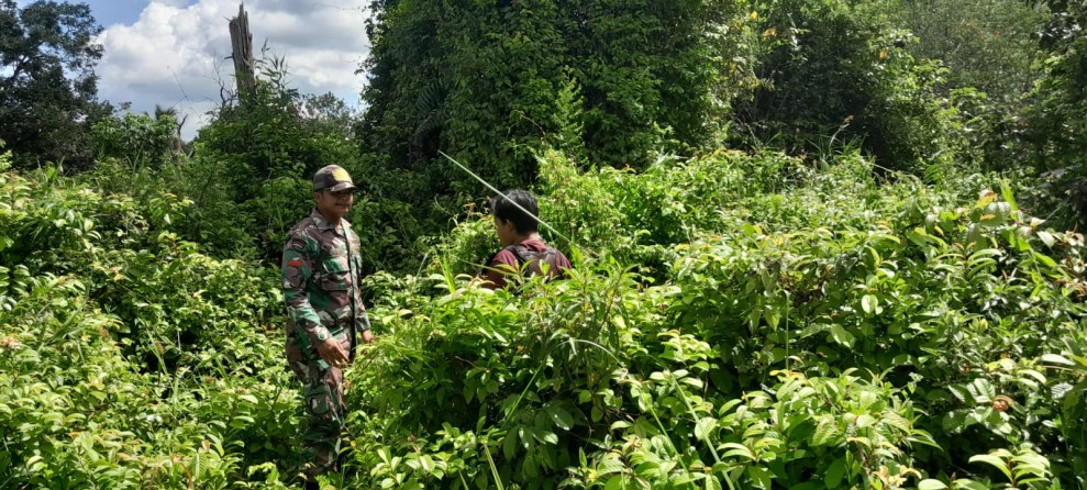 Antisipasi Musim Kering, Pratu Hutagalung Pimpin Patroli Terpadu dan Sosialisasi Larangan Membakar Lahan