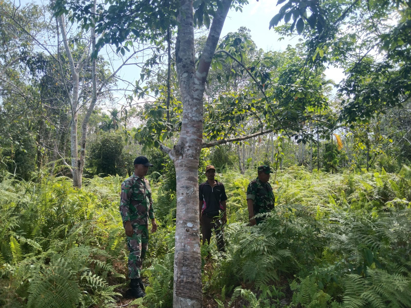 Peltu Nababan dan Kopda Ricko Yuspranata Cegah Karhutla di Tasik Putri Puyu