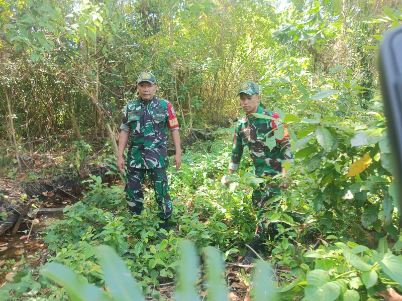 Babinsa dan Warga Bersinergi Cegah Kebakaran Hutan dan Lahan di Pulau Merbau