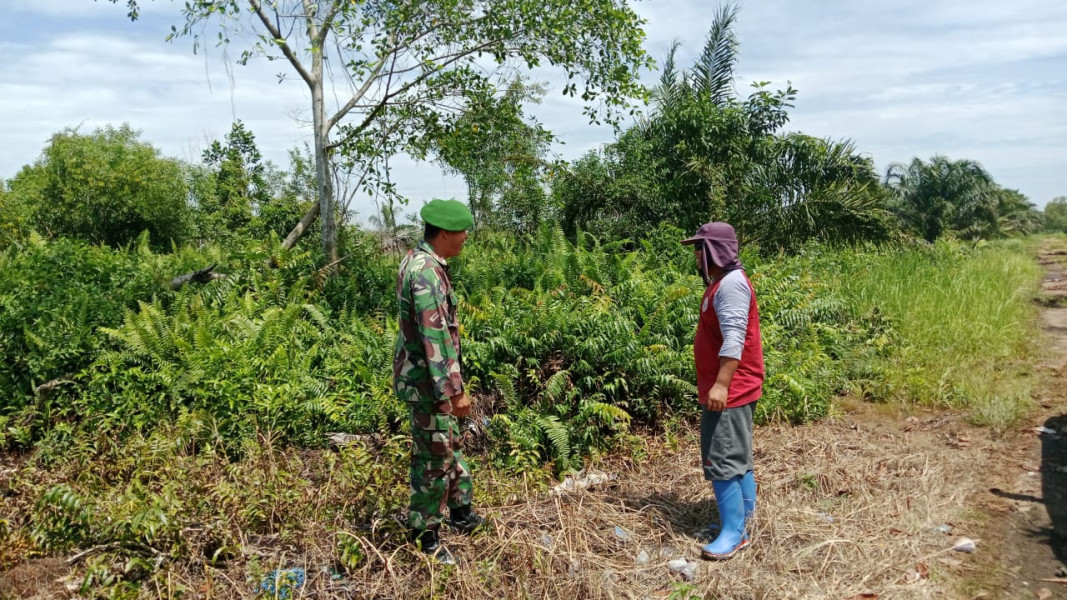 Babinsa Sertu Samsuddin Lakukan Patroli Cegah Karhutla di Tanjung Palas