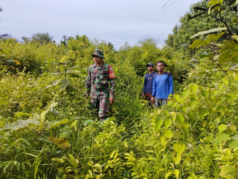Edukasi Humanis, Babinsa Ingatkan Warga Jangan Buka Lahan dengan Membakar