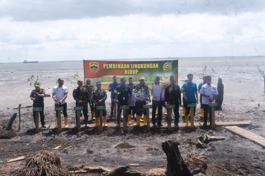 Sebanyak Dua Ribu Bibit Mangrove Ditanam Oleh Kodim 0320/Dumai Beserta Mitra