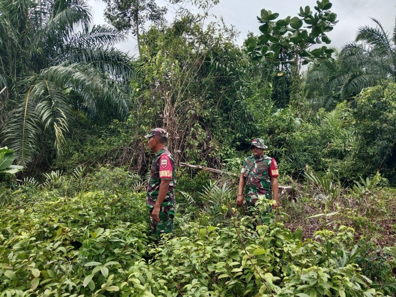 Edukasi dan Patroli, Babinsa Tekankan Bahaya Bakar Lahan