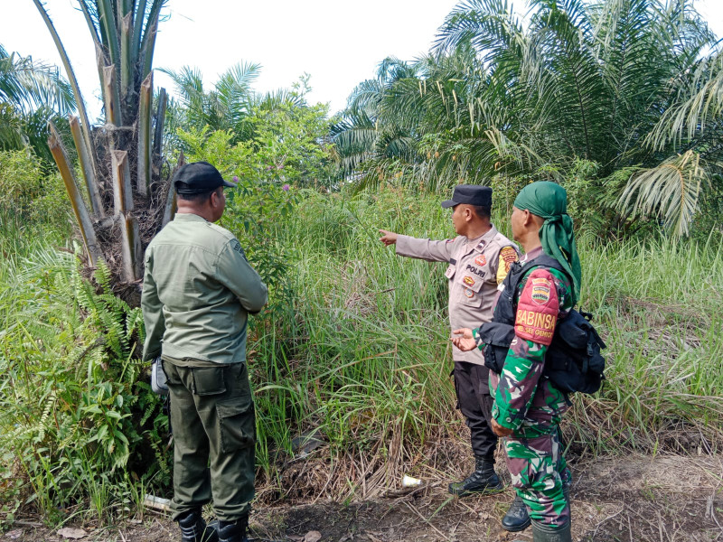 Pada Akhir Pekan, Serda Bambang Irwanto Laksanakan Patroli Cegah Karhutla
