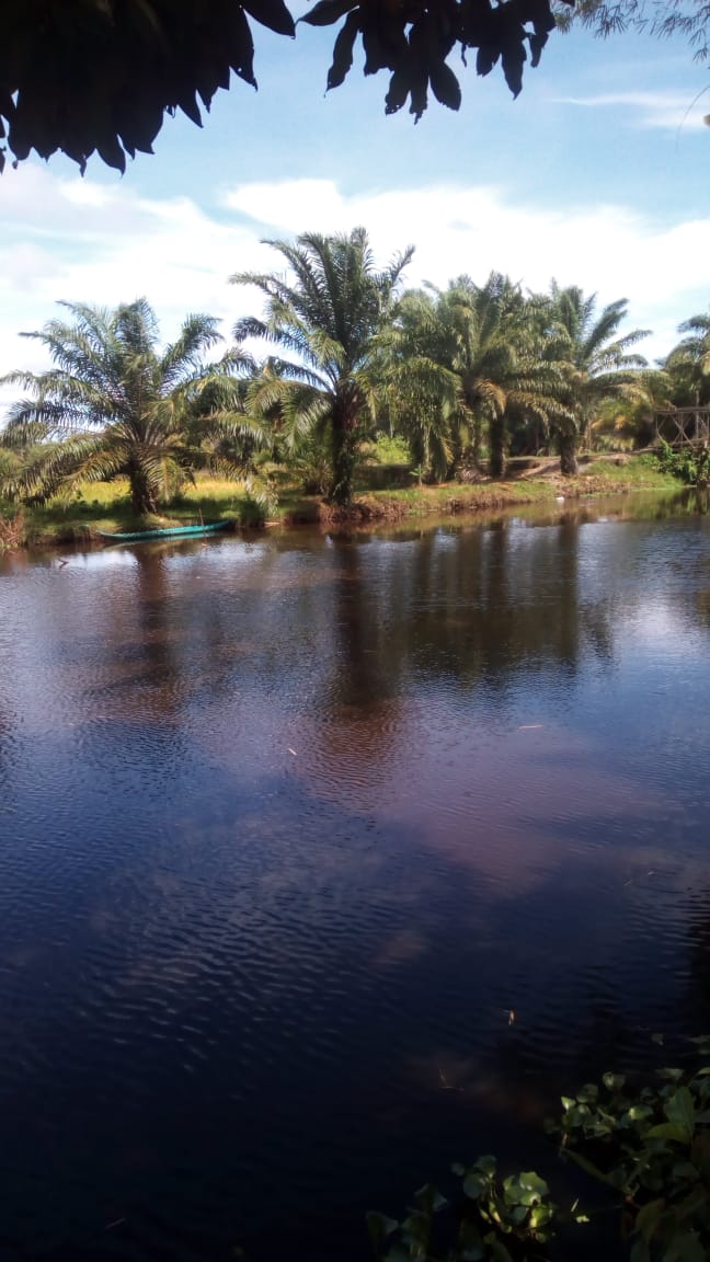 Aliran Sungai Bubon Lancar