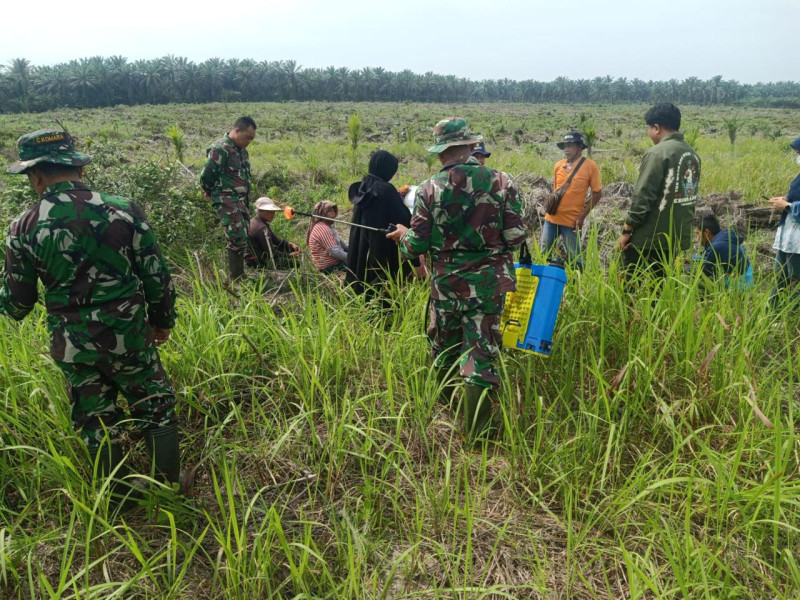 Koramil 02/BK dan Kelompok Tani Sidodadi Lakukan Penyemprotan Lahan untuk Penanaman Padi Gogo