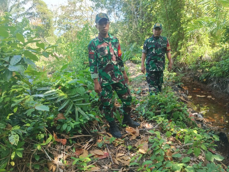 Sinergi Babinsa dan Masyarakat Desa Semukut Tangkal Karhutla