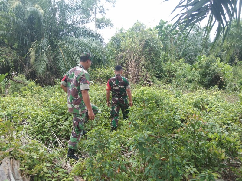 Cegah Karhutla, Babinsa Ajak Warga Aktif Patroli di Kudap