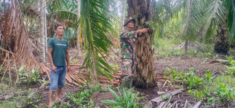 Babinsa Koramil 06/Merbau Intensifkan Patroli Karhutla di Desa Lukit, Situasi Aman