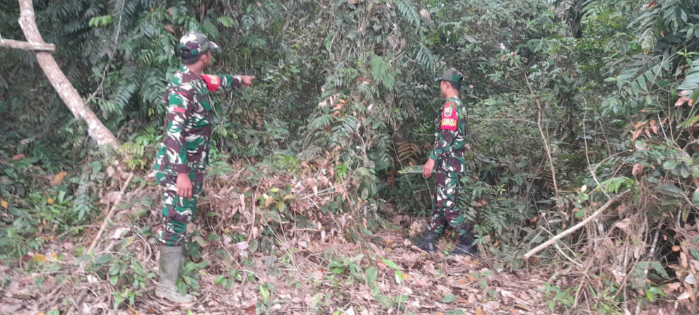 Patroli Babinsa dan Masyarakat Pulau Merbau Cegah Karhutla dengan Pengawasan Ketat