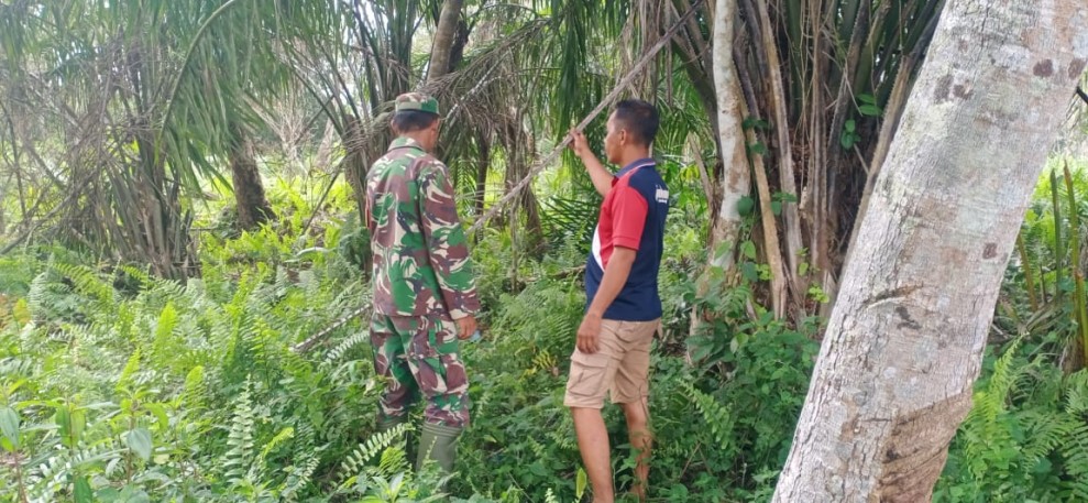 Karhutla Jadi Ancaman Serius, Babinsa Koramil 06/Merbau Perketat Patroli di Desa Lukit