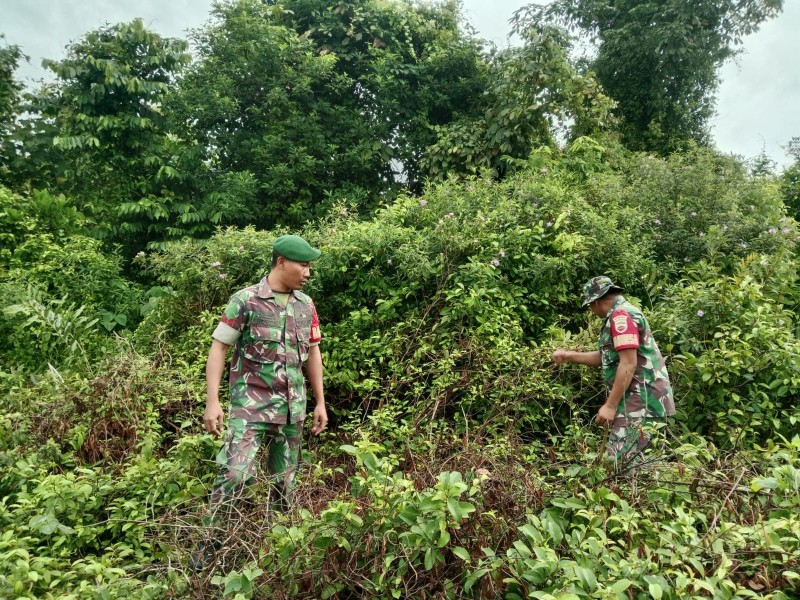 Wilayah Rawan Karhutla Jadi Perhatian Babinsa, Patroli Rutin Ditingkatkan
