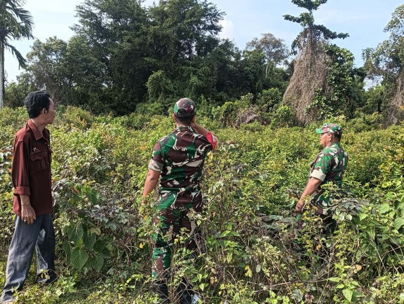 Cegah Kebakaran, Babinsa Himbau Warga Tidak Buka Lahan dengan Membakar