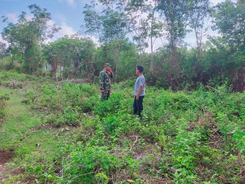 Antisipasi Kebakaran, Babinsa Lakukan Patroli dan Sosialisasi di Pulau Merbau