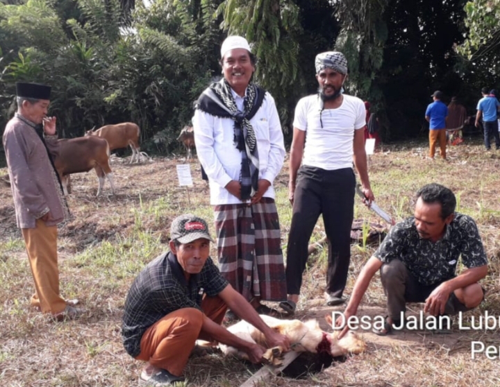 Hari Raya Idul Adha, Ketua DPC PWRI Rohul Lakukan Pemotongan Hewan Qurban