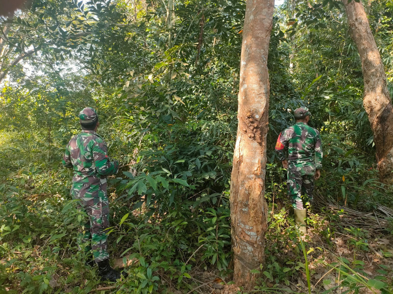 Patroli Gabungan Babinsa Koramil 06 Merbau Guna Memastikan Wilayahnya Bebas Karhutla