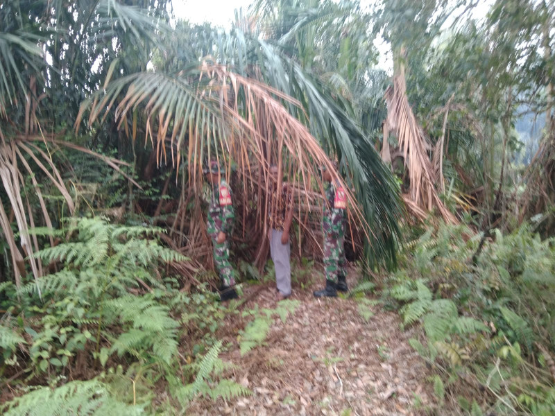 Sertu Edi Tegaskan Bahaya Pembakaran Hutan Saat Patroli di Desa Dedap