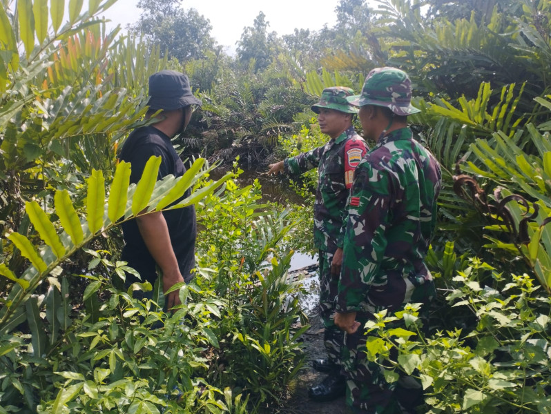 Peninjauan Beberapa Titik Wilayah Bina Untuk Mencegah Karhutla Oleh Babinsa Koramil 06 Merbau