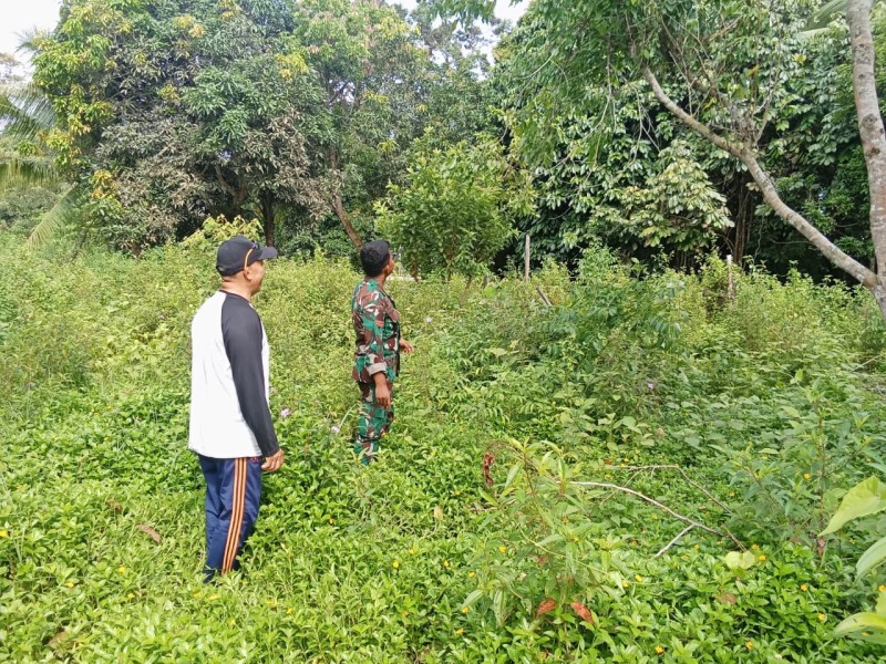 Cegah Karhutla, Babinsa Patroli Lahan Gambut di Tasik Putri Puyu