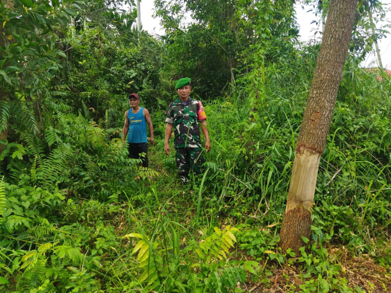 Patroli Karhutla oleh Babinsa Koramil-01/Dumai Tekan Potensi Kebakaran Hutan