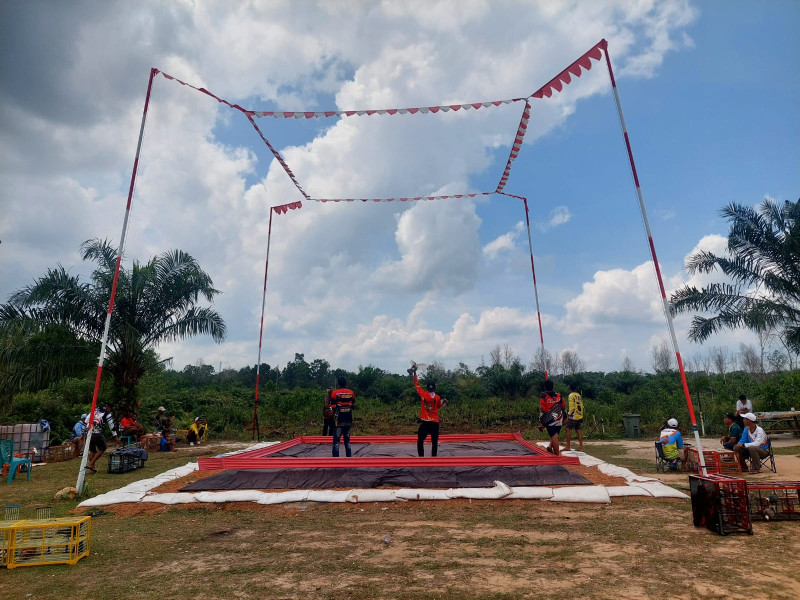 Antusiasme Peserta Ramaikan Lomba Burung HUT TNI ke-79 di Pelintung