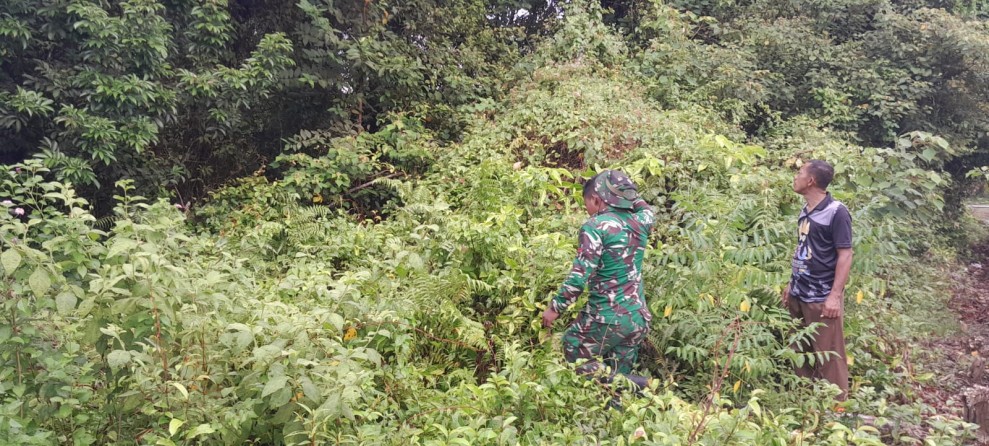 Cegah Karhutla, Pratu Roihan Gandeng Masyarakat Susuri Semak Belukar di Mengkirau