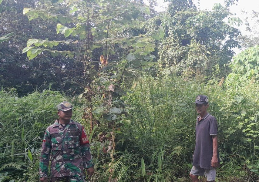 Patroli Karhutla, Babinsa Ingatkan Warga Bahaya Puntung Rokok di Lahan Gambut
