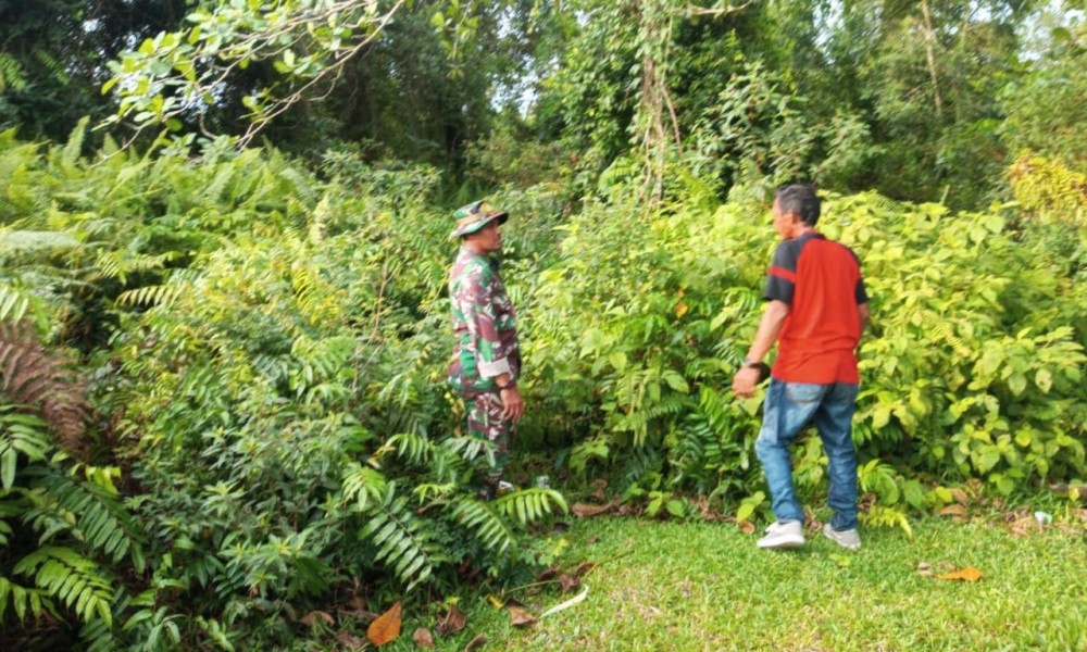 Patroli Rutin Babinsa di Lahan Rawan Tekan Angka Karhutla