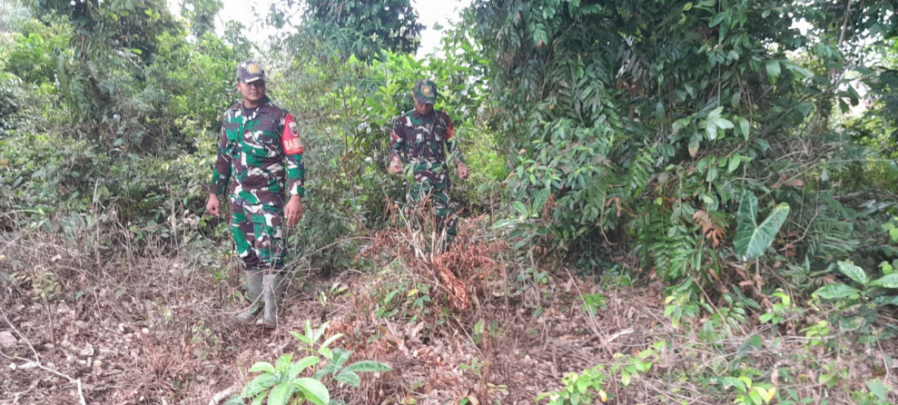 Cegah Karhutla, Babinsa Koramil 06/Merbau Himbau Warga Tidak Membakar Lahan
