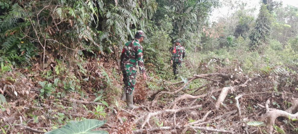 Patroli Intensif, Babinsa Koramil 06/Merbau Temukan Titik Rawan Karhutla