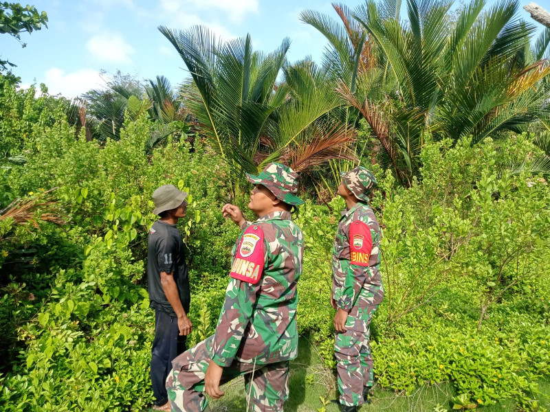 Babinsa Bersama Warga Desa Padang Kamal Aktif Lakukan Patroli Karhutla