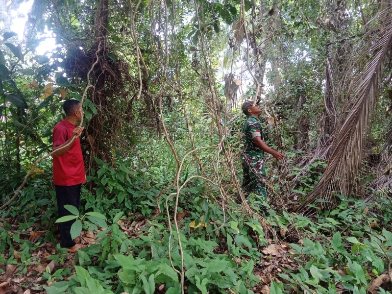 Antisipasi Karhutla, Babinsa Koramil 06/Merbau Cek Lahan Rawan