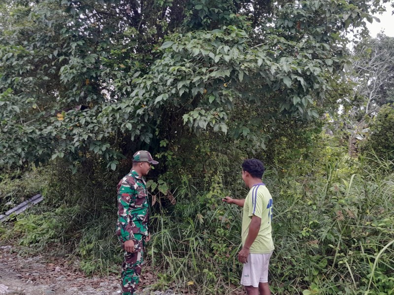 Pratu Hutagalung Intensifkan Patroli Karhutla di Kawasan Gambut Desa Kudap