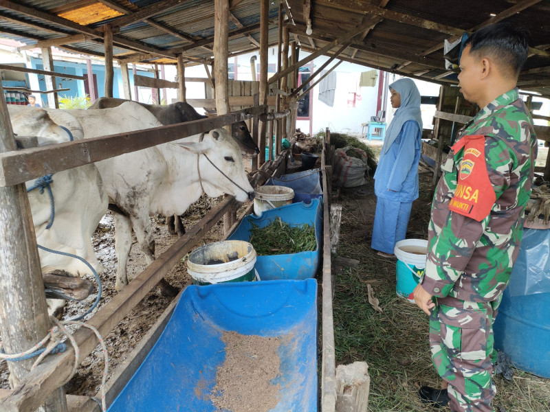 Sertu Sutarno Babinsa Kelurahan Jaya Mukti Ingatkan Pentingnya Kebersihan Kandang