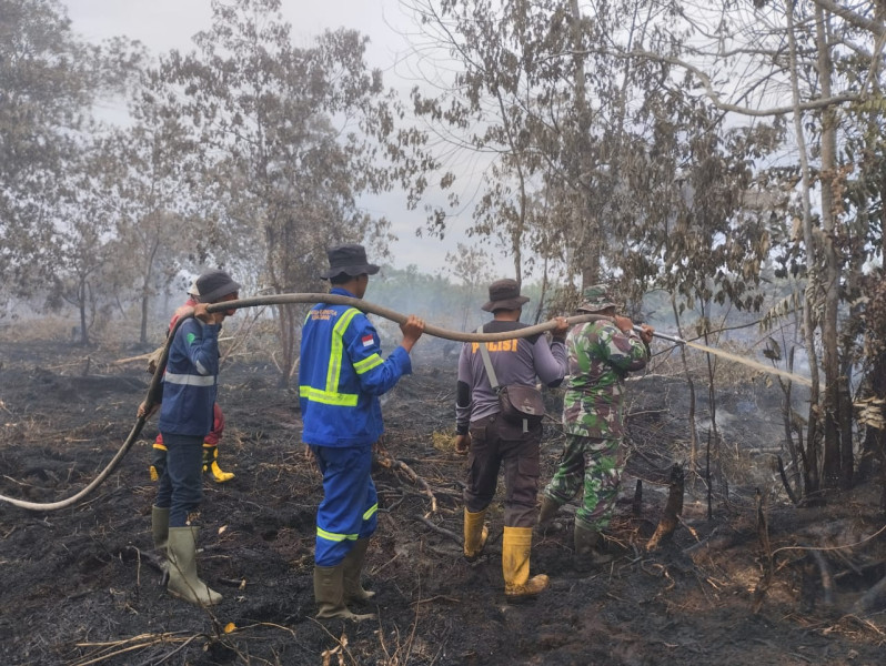 Aksi Cepat Babinsa dan Tim Gabungan Kendalikan Karhutla di Teluk Makmur